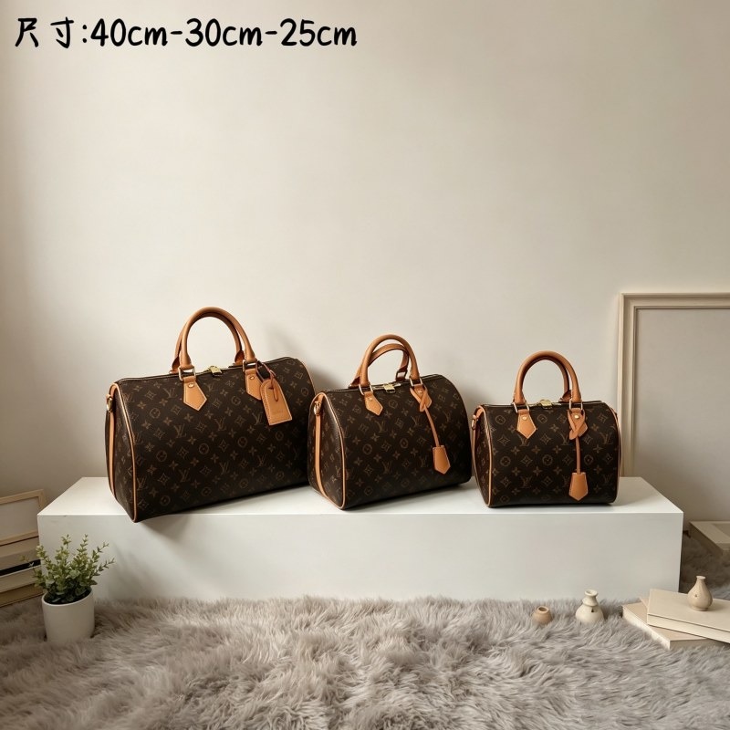 LV Travel Bag