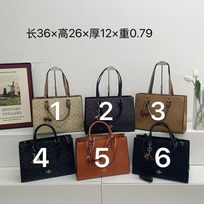 Explosive Coach Tate Carryall