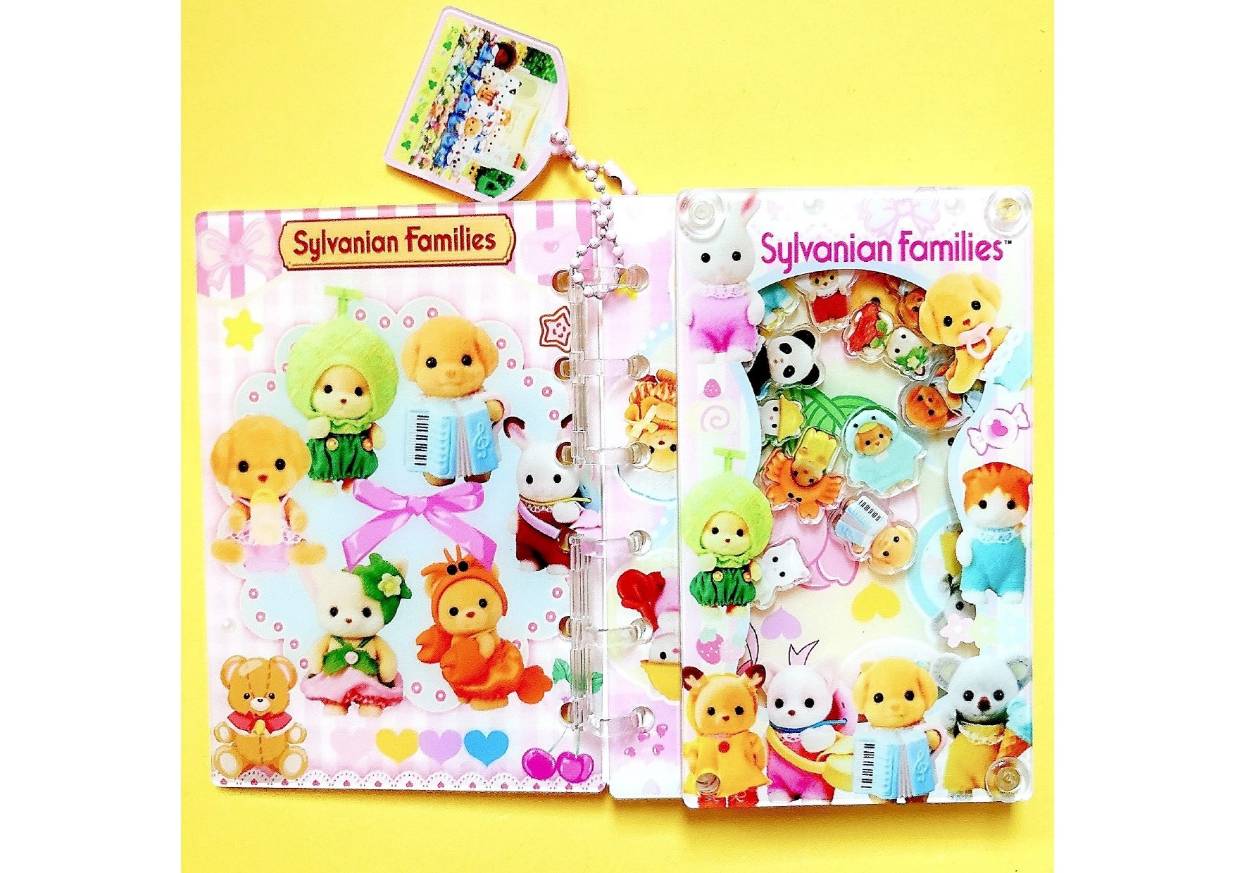 01043# NEW--Completed-shakenotebook