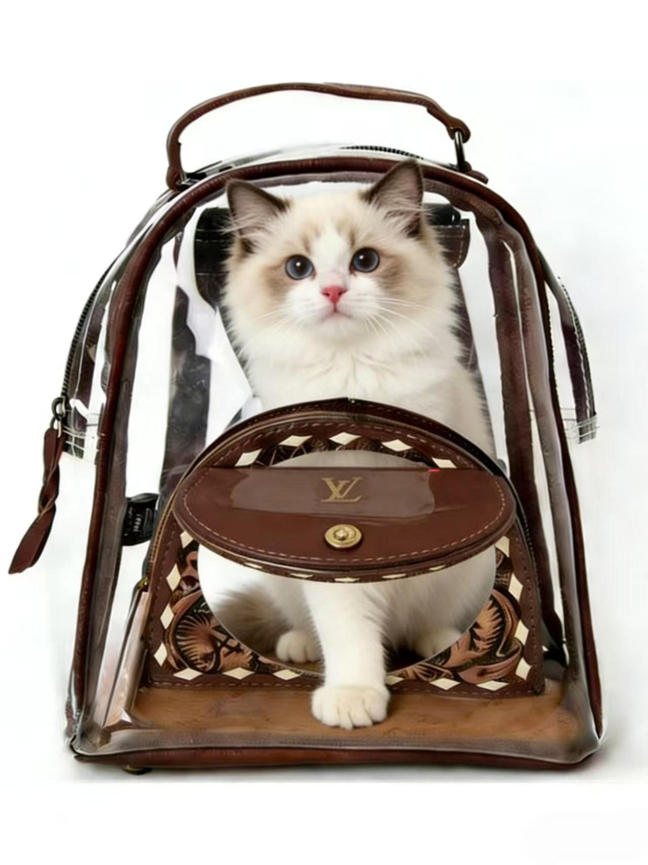 Designer Transparent Pet Backpack
